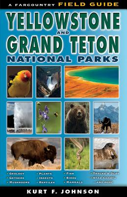 The Field Guide to Yellowstone and Grand Teton National Parks By Kurt F. Johnson Cover Image