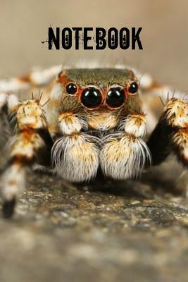 Notebook: Tarantula Spider Notebook Cover Image