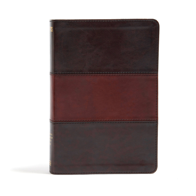 NIV Rainbow Study Bible, Saddle Brown LeatherTouch By Holman Bible Staff (Editor) Cover Image