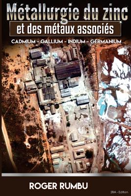 Metallurgie Extractive du Zinc et des metaux associes By Roger Rumbu Cover Image