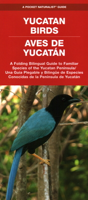Yucatan Birds/Aves de Yucatan: A Folding Pocket Guide to Familiar Species/Una Guia Plegable Portatil de Especies Conocidas (Pocket Naturalist Guide) Cover Image