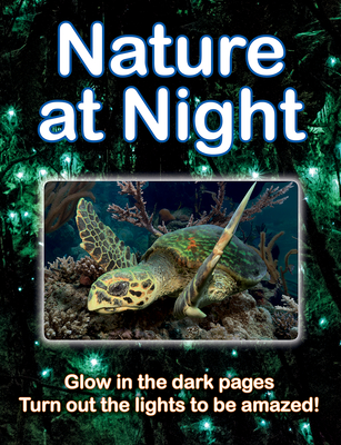 Nature at Night By Lisa Regan Cover Image