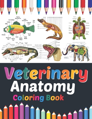 Veterinary Anatomy Coloring Book: Veterinary Anatomy Student's Self-Test Coloring Book. Great Gift For Boys & Girls.Anatomy Workbook For Kids.Veterina Cover Image