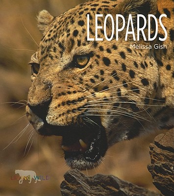 Living Wild: Leopards Cover Image