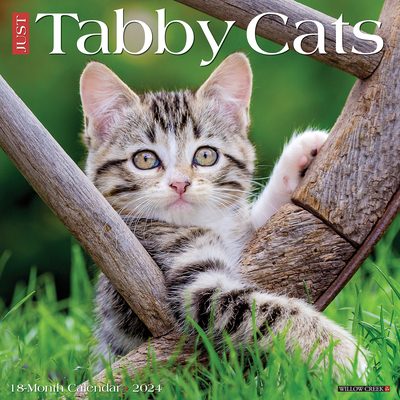 Just Tabby Cats 2024 12 X 12 Wall Calendar Cover Image