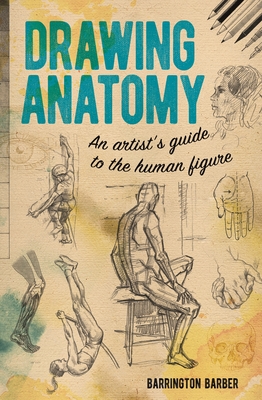 Drawing Anatomy: An Artist's Guide to the Human Figure By Barrington Barber Cover Image