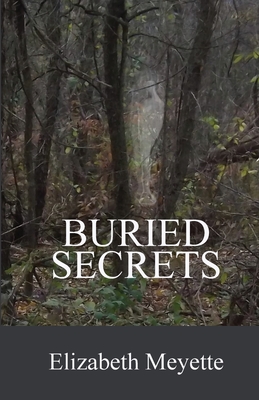 Buried Secrets: Sequel to the The Cavanaugh House (Finger Lakes Mysteries #2)