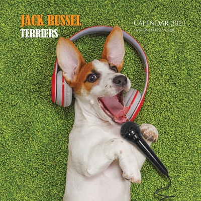 Jack Russel Terriers Calendar 2021: 16 Month Calendar By Golden Print Cover Image