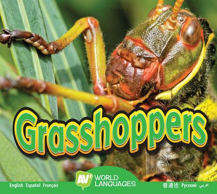 Grasshoppers (World Languages) Cover Image
