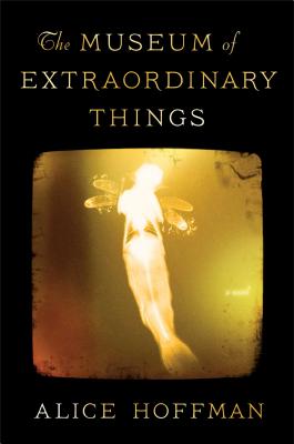 Cover Image for The Museum of Extraordinary Things