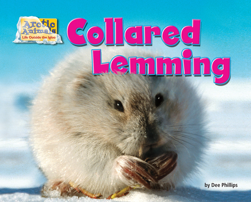 Collared Lemming (Arctic Animals: Life Outside the Igloo)