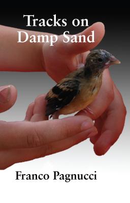 Tracks on Damp Sand By Franco Pagnucci Cover Image