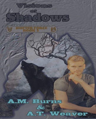 Visions of Shadows Cover Image