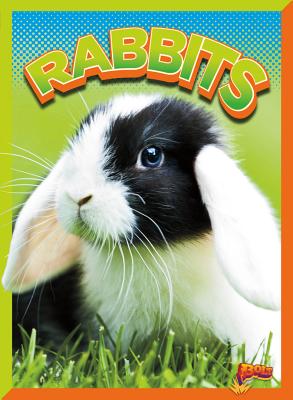 Rabbits (Wild Animal Kingdom) By Gail Terp Cover Image