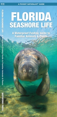 Florida Seashore Life: A Waterproof Folding Guide to Familiar Animals & Plants By Waterford Press, Raymond Leung (Illustrator) Cover Image