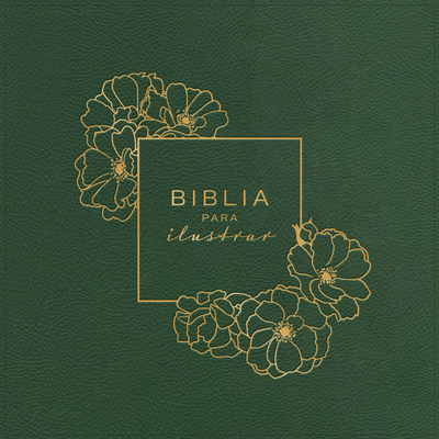 RVR 1960 Biblia para ilustrar, verde símil piel By B&H Español Editorial Staff (Editor) Cover Image