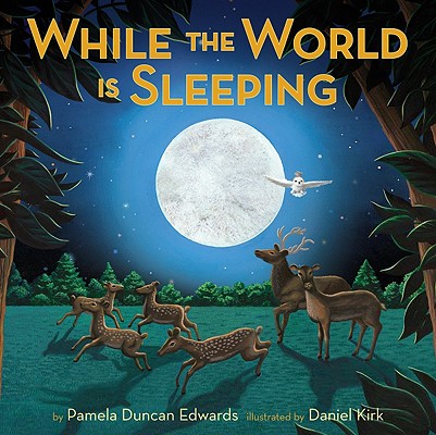 Cover for While the World Is Sleeping