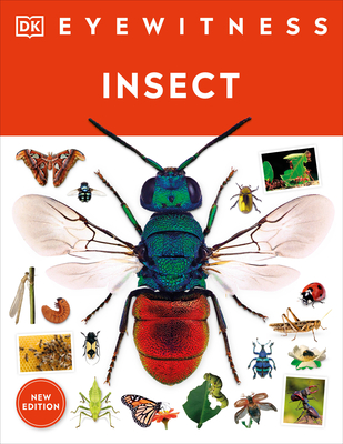 Eyewitness Insect (DK Eyewitness) By DK Cover Image
