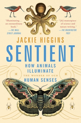 Sentient: How Animals Illuminate the Wonder of Our Human Senses By Jackie Higgins Cover Image