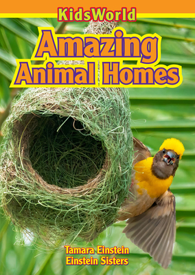 Amazing Animal Homes (Paperback) | Sandman Books