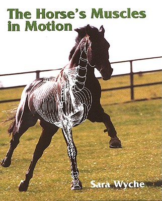 The Horse's Muscles in Motion By Sara Wyche Cover Image