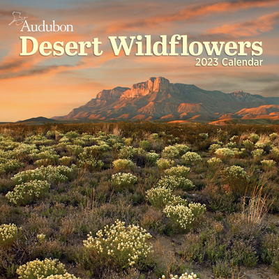 Audubon Desert Wildflowers Wall Calendar 2023: A Visual Delight for Nature Lovers and Gardeners Alike By Workman Publishing, National Audubon Society Cover Image