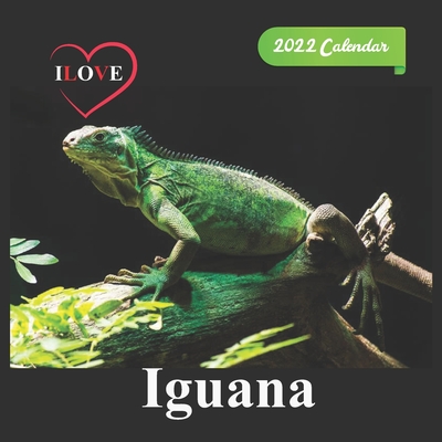 Ilove Iguana calendar 2022: official calendar 2022,12 months, calendar Wild Animals, Square 2022 Calendar By Calendar 2022 Pub Print Cover Image