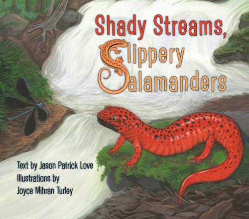 Shady Streams, Slippery Salamanders By Jason Patrick Love, Joyce Turley (Illustrator) Cover Image