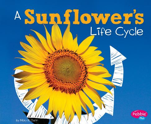 A Sunflower's Life Cycle (Explore Life Cycles) By Mary R. Dunn Cover Image