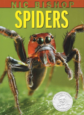 Nic Bishop: Spiders