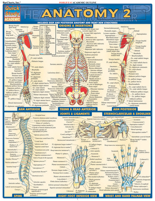 Anatomy 2 - Reference Guide (8.5 X 11): A Quickstudy Laminated Reference Guide (Quickstudy: Academic)