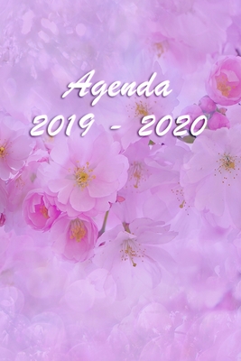 Agenda Scuola 2019 - 2020: Mensile - Settimanale - Giornaliera - Settembre 2019 - Agosto 2020 - Obiettivi - Rubrica - Orario Lezioni - Appunti - Cover Image