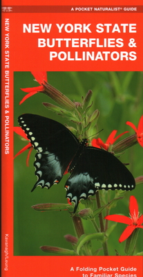 New York State Butterflies & Pollinators: A Folding Pocket Guide to Familiar Species By James Kavanagh Cover Image