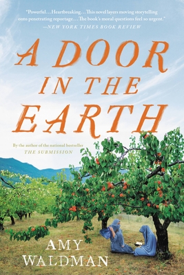 A Door in the Earth By Amy Waldman Cover Image