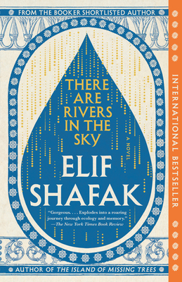 Cover Image for There Are Rivers in the Sky: A Novel