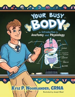 Your Busy Body: An Introduction to Anatomy and Physiology By Crna Kyle P. Noorlander, Joseph Mead (Illustrator) Cover Image