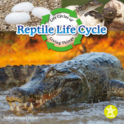 Reptile Life Cycle By Tracy Vonder Brink Cover Image