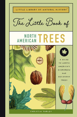 The Little Book of North American Trees: A Guide to North America's Evergreen and Deciduous Trees By Christin Farley Cover Image