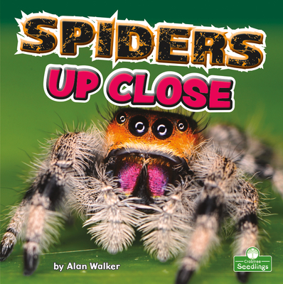 Spiders Up Close Cover Image