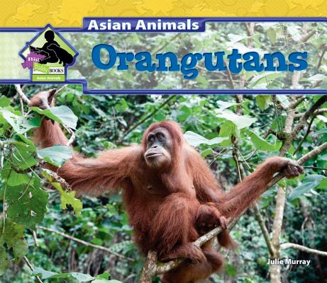 Orangutans (Asian Animals) Cover Image