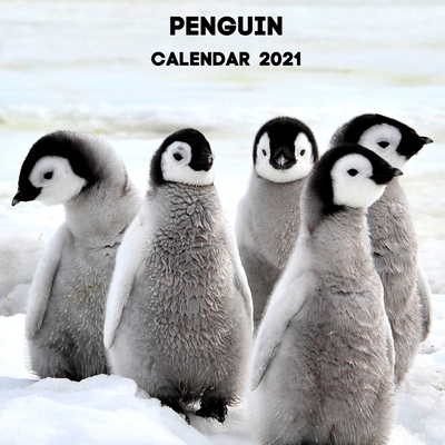 Penguin Calendar 2021: January 2021 - December 2021 Square Photo Book Monthly Planner Calendar Gift For Penguin Lover - Penguin Mom or Dad Pr By Bluegorilla Studio Cover Image
