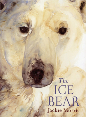 The Ice Bear By Jackie Morris (Illustrator) Cover Image