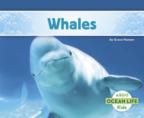 Whales (Ocean Life) By Grace Hansen Cover Image