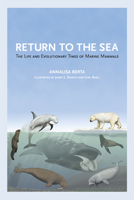 Return to the Sea: The Life and Evolutionary Times of Marine Mammals By Annalisa Berta, James L. Sumich (Illustrator), Carl Buell (Illustrator) Cover Image