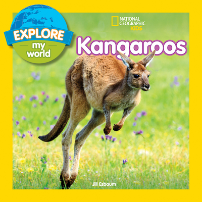 Explore My World: Kangaroos By Jill Esbaum Cover Image