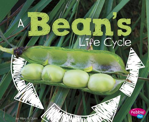 A Bean's Life Cycle (Explore Life Cycles)