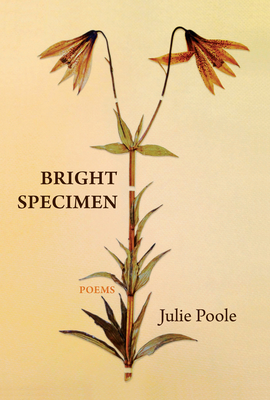 Bright Specimen By Julie Poole Cover Image