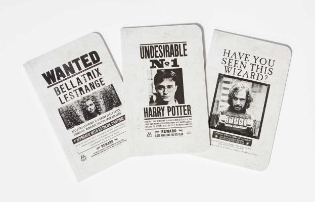 harry potter wanted poster