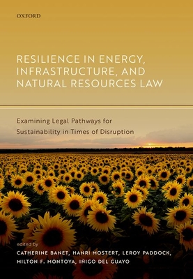 Resilience in Energy, Infrastructure, and Natural Resources Law: Examining Legal Pathways for Sustainability in Times of Disruption Cover Image