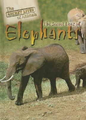 The Secret Lives of Elephants (Secret Lives of Animals) (Library Binding) |  Books and Crannies